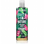 Faith In Nature Dragon Fruit Puhastav &scaron;ampoon normaalsetele kuni rasustele juustele 400 ml