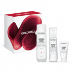 Goldwell Dualsenses Bond Pro Kinkekomplekt kahjustatud ja habrastele juustele