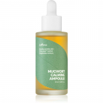 Isntree Real Mugwort Rahustav seerum tundlikule ja &auml;rritunud nahale 50 ml