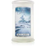 Kringle Candle Arctic Highway l&otilde;hnak&uuml;&uuml;nal 623 g