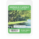 Kringle Candle Spanish Moss sulatusvaha 64 g