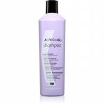 Kaypro Anti Yellow Gigs Shampoo kollakate toonide vastane &scaron;ampoon blondidele juustele 350 ml