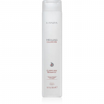 L'anza Healing ColorCare Clarifying Shampoo Igap&auml;evane &scaron;ampoon v&auml;rvitud juustele 300 ml