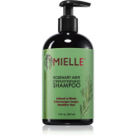 Mielle Rosemary Mint Energiat andev &scaron;ampoon 355 ml