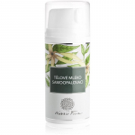 Nobilis Tilia Body & Face Isepruunistav piim 100 ml