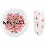 NEONAIL Dried Flowers kuivatatud &otilde;is k&uuml;&uuml;ntele varjund Pink 1 tk