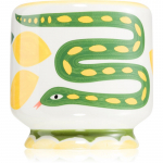 Paddywax A Dopo Snake l&otilde;hnak&uuml;&uuml;nal 226 g