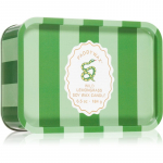 Paddywax A Dopo Snake l&otilde;hnak&uuml;&uuml;nal 184 g