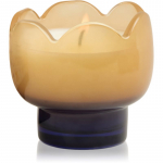 Paddywax Tulip Garden & Grove l&otilde;hnak&uuml;&uuml;nal 155 g