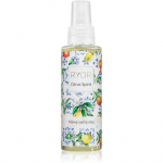 RYOR Citrus Spirit Mitmeotstarbeline kuiv&otilde;li kehale 100 ml
