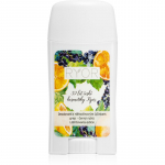 RYOR Deo Deodorant 48-tunnine efektiivsus l&otilde;hnatooted Grapefruit & Black Currant 50 g