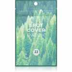 SKIN1004 Madagascar Centella Tea-Trica Spot Cover Patch Plaastrid probleemsele nahale akne hoolduseks 22 tk