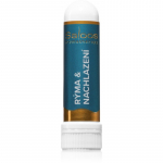 Saloos Aromatherapy R&yacute;ma & Nachlazen&iacute; inhalaatorpulk eeterlike &otilde;lidega 1 tk