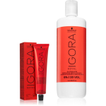 Schwarzkopf Professional IGORA Royal komplekt juuste v&auml;rvimisel varjund 5-0
