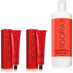 Schwarzkopf Professional IGORA Royal komplekt juuste v&auml;rvimisel varjund 5-0; 6-0