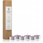 Smells Like Spells Norse Magic Mimir teek&uuml;&uuml;nal (relaxation/meditation) 6 tk