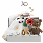 Taf Toys Luxury Newborn Kit Kinkekomplekt beebide jaoks