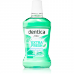 Tołpa Dentica Extra Fresh Pikaajalist v&auml;rskust tagav suuvesi 500 ml