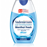 Vademecum 2 in1 Menthol Fresh Kaks-&uuml;hes hambapasta ja suuvesi 75 ml