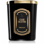 Vila Hermanos Classic Collection Citrus Blossom l&otilde;hnak&uuml;&uuml;nal 75 g