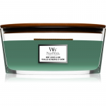 Woodwick Mint Leaves & Oak l&otilde;hnak&uuml;&uuml;nal puidust taht (hearthwick) 453.6 g