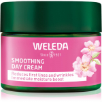 Weleda Wild Rose & White Tea Valgustpeegeldav p&auml;evakreem 40 ml