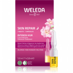 Weleda Wild rose Intensiivhooldus esimestele kortsudele 7x0,8 ml