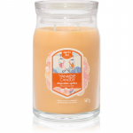 Yankee Candle Slopeside Spritz l&otilde;hnak&uuml;&uuml;nal signatuur 567 g