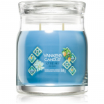 Yankee Candle Azure Sky l&otilde;hnak&uuml;&uuml;nal 368 g