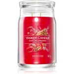 Yankee Candle Sparkling Cinnamon l&otilde;hnak&uuml;&uuml;nal 567 g