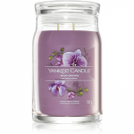 Yankee Candle Wild Orchid l&otilde;hnak&uuml;&uuml;nal Signature 567 g