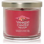 Yankee Candle Santa On Skis l&otilde;hnak&uuml;&uuml;nal signatuur 122 g