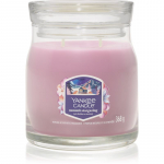 Yankee Candle Summit Stargazing l&otilde;hnak&uuml;&uuml;nal signatuur 368 g