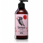 Yope Cherry & Almond Milk Looduslik seep k&auml;tele 500 ml