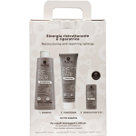 Alama Professional Repair Gift Box Kinkekomplekt kahjustatud juustele