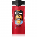 Axe Sunset Fresh Du&scaron;igeel n&auml;ole, kehale ja juustele 400 ml