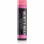 Burt&rsquo;s Bees Tinted Lip Balm Huulepalsam varjund Pink Blossom 4.25 g