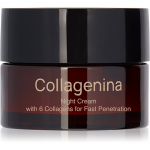 Collagenina Grade 2 Night Cream T&auml;itev &ouml;&ouml;kreem kollageeniga 50 ml