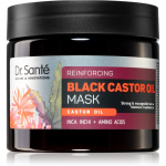 Dr. Sant&eacute; Black Castor Oil intensiivne mask juustele 300 ml