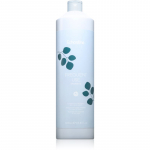 Echosline Frequent use Shampoo &Scaron;ampoon igap&auml;evaseks kasutamiseks 1000 ml