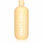 IDA WARG Beauty Volume Conditioner Vol&uuml;&uuml;mpalsam &otilde;hukestele ja peadligi hoidvatele juustele 500 ml