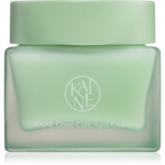 KAINE Green Calm Aqua Cream Niisutav n&auml;okreem rahustavate efektidega 70 ml