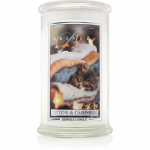 Kringle Candle Kittens & Cashmere l&otilde;hnak&uuml;&uuml;nal 624 g