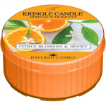 Kringle Candle Strawberries & Cream teek&uuml;&uuml;nal 42 g
