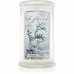 Kringle Candle Winter Cypress l&otilde;hnak&uuml;&uuml;nal 624 g
