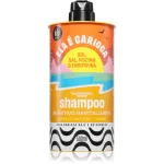 Lola Cosmetics Nutritivo Toitev &scaron;ampoon 500 ml