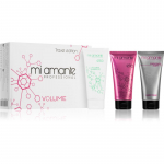 Mi Amante Professional Ella Volume Travel Set komplekt juuste kohevuseks