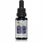 Nobilis Tilia Obličejov&yacute; olej Karotenov&yacute; s Aloe Vera Toitev &otilde;li n&auml;ole 20 ml