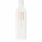 Original & Mineral Fine Intellect Shampoo Vol&uuml;&uuml;m&scaron;ampoon &otilde;hukestele juustele 350 ml
