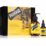 Proraso Set Beard Original Kinkekomplekt habemele  Mle Wood and Spice